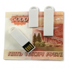 Флешка пластик E195W